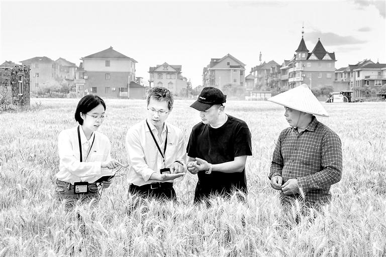 杭州双浦镇最新调研