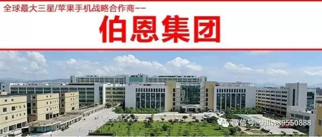 定远保尔工贸最新招聘