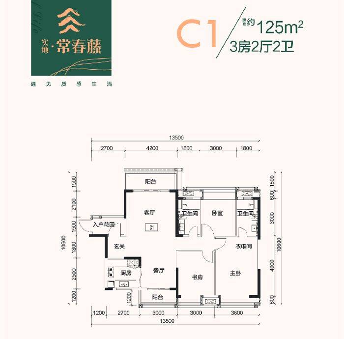 实地常青藤最新价格