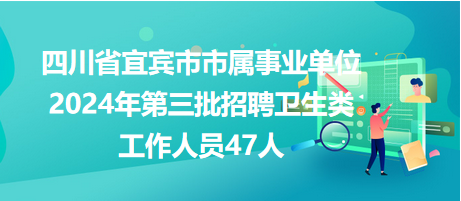 宜宾招聘网最新招聘信息，小巷深处的特色小店求职机遇